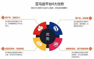 跨境電商亞馬遜店群,批量開(kāi)店創(chuàng)業(yè)指導(dǎo),亞馬遜erp系統(tǒng)貼牌定制